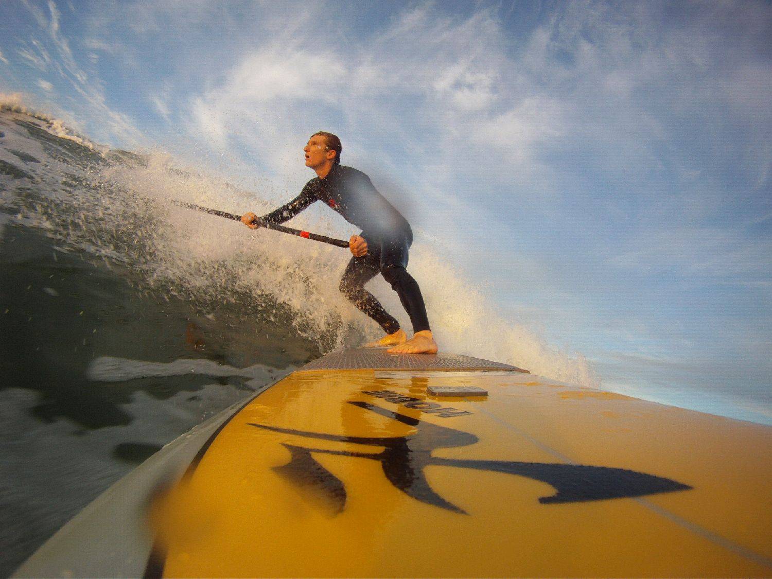 nsw beaches