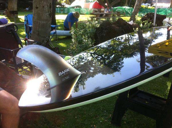 shiny bark