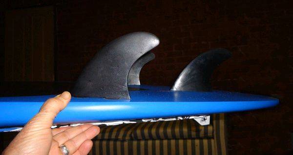 tail