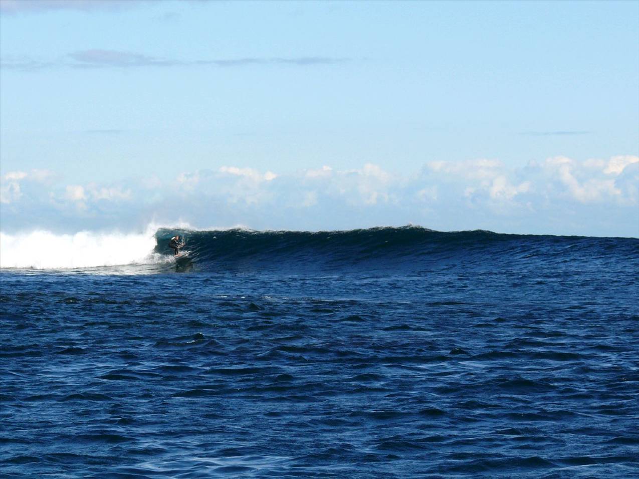 P1110692