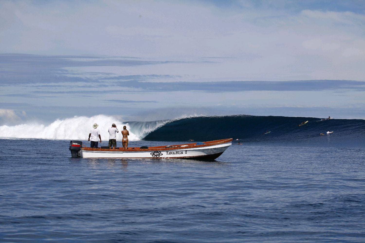 Reef 1