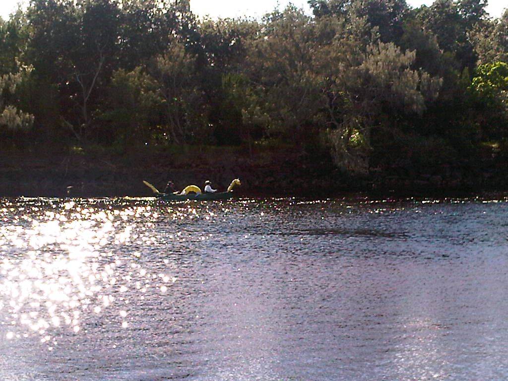 dragon boat