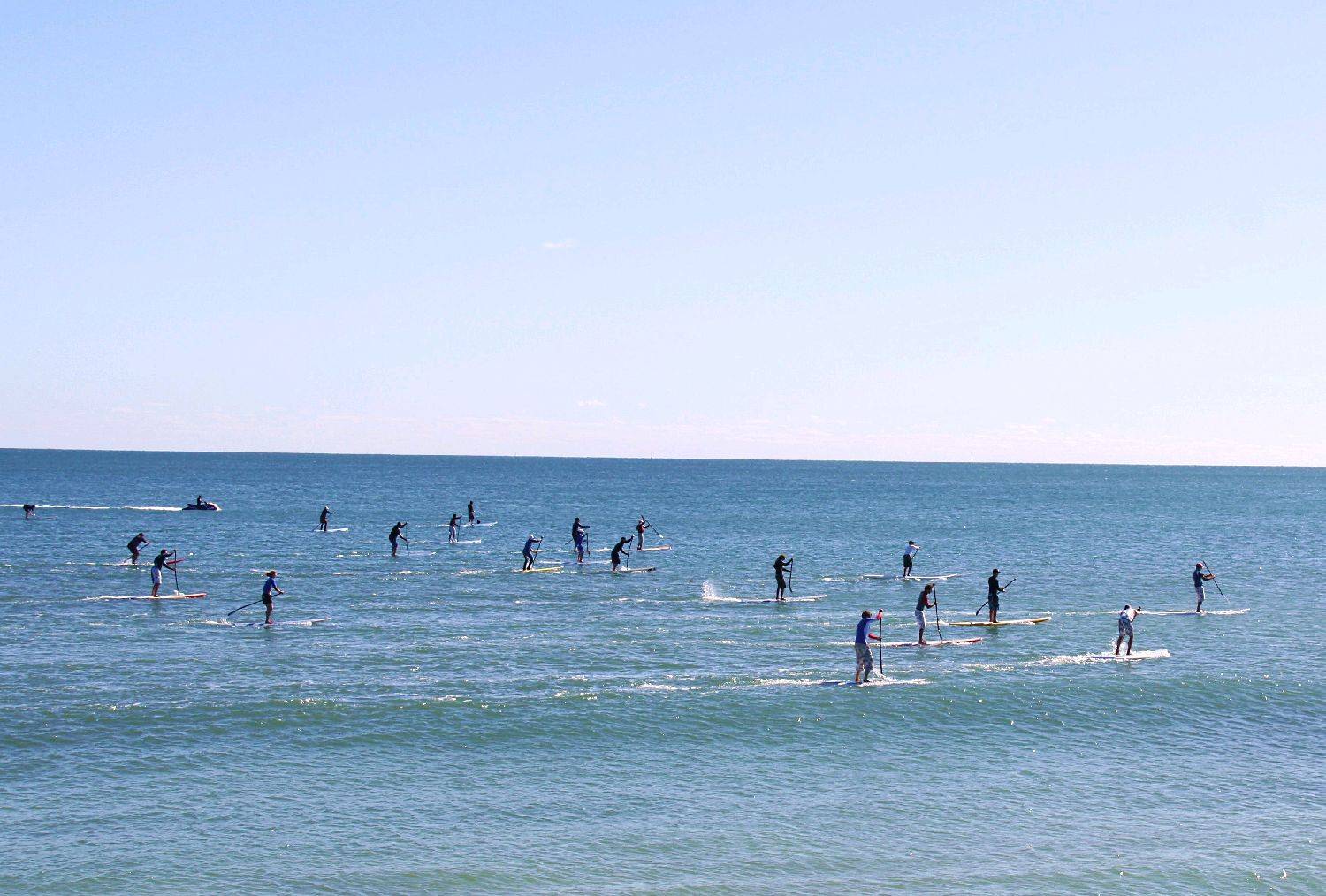 2009 Whalebone SUP Race