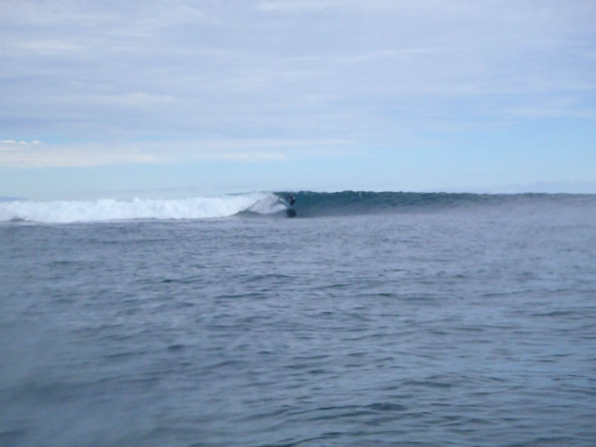 P7131589