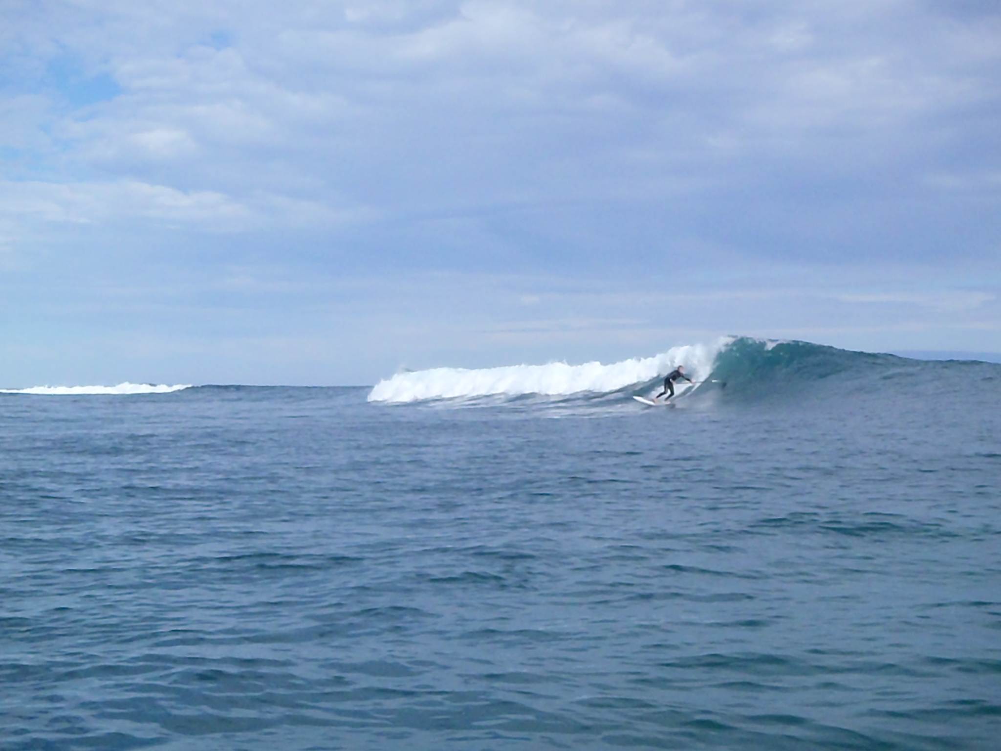 P7131464