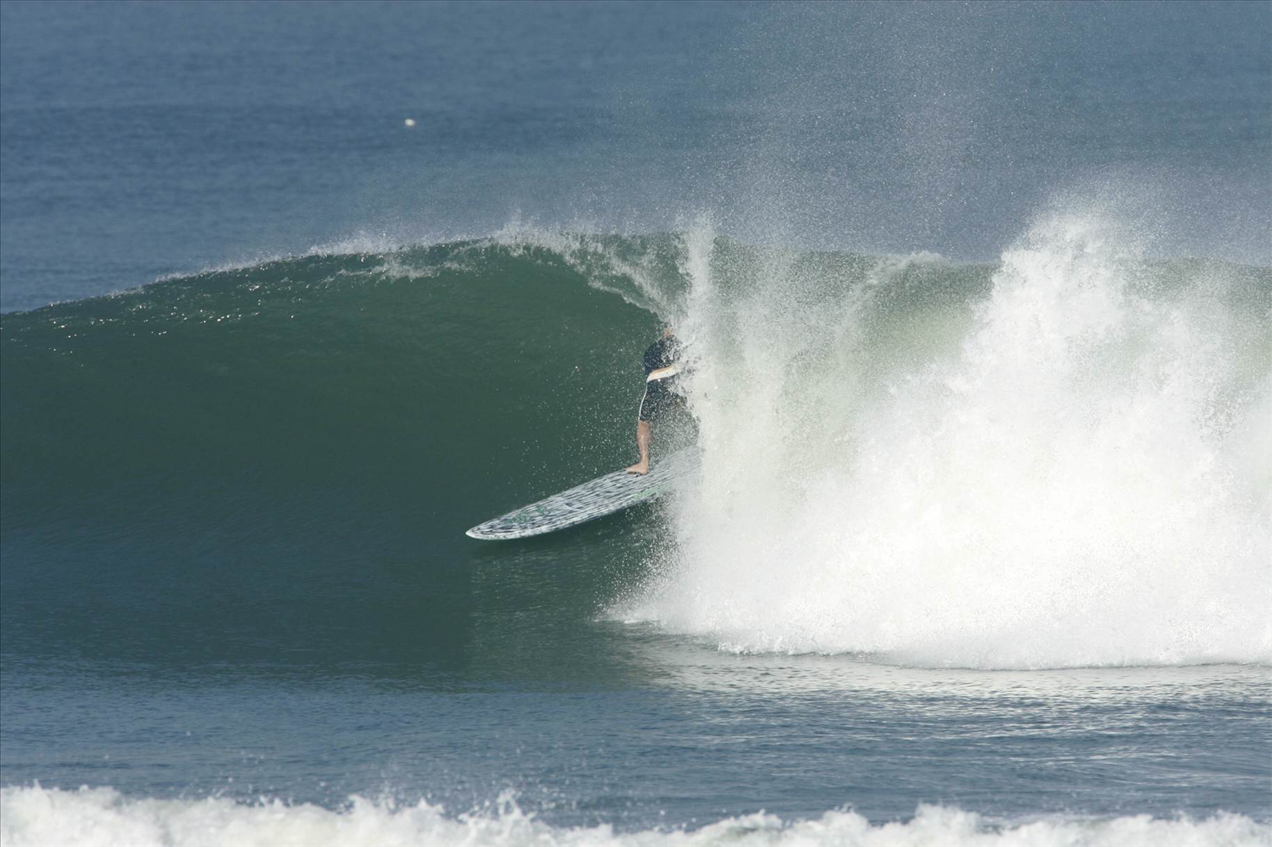 9'1 x 29 Brushed Carbon