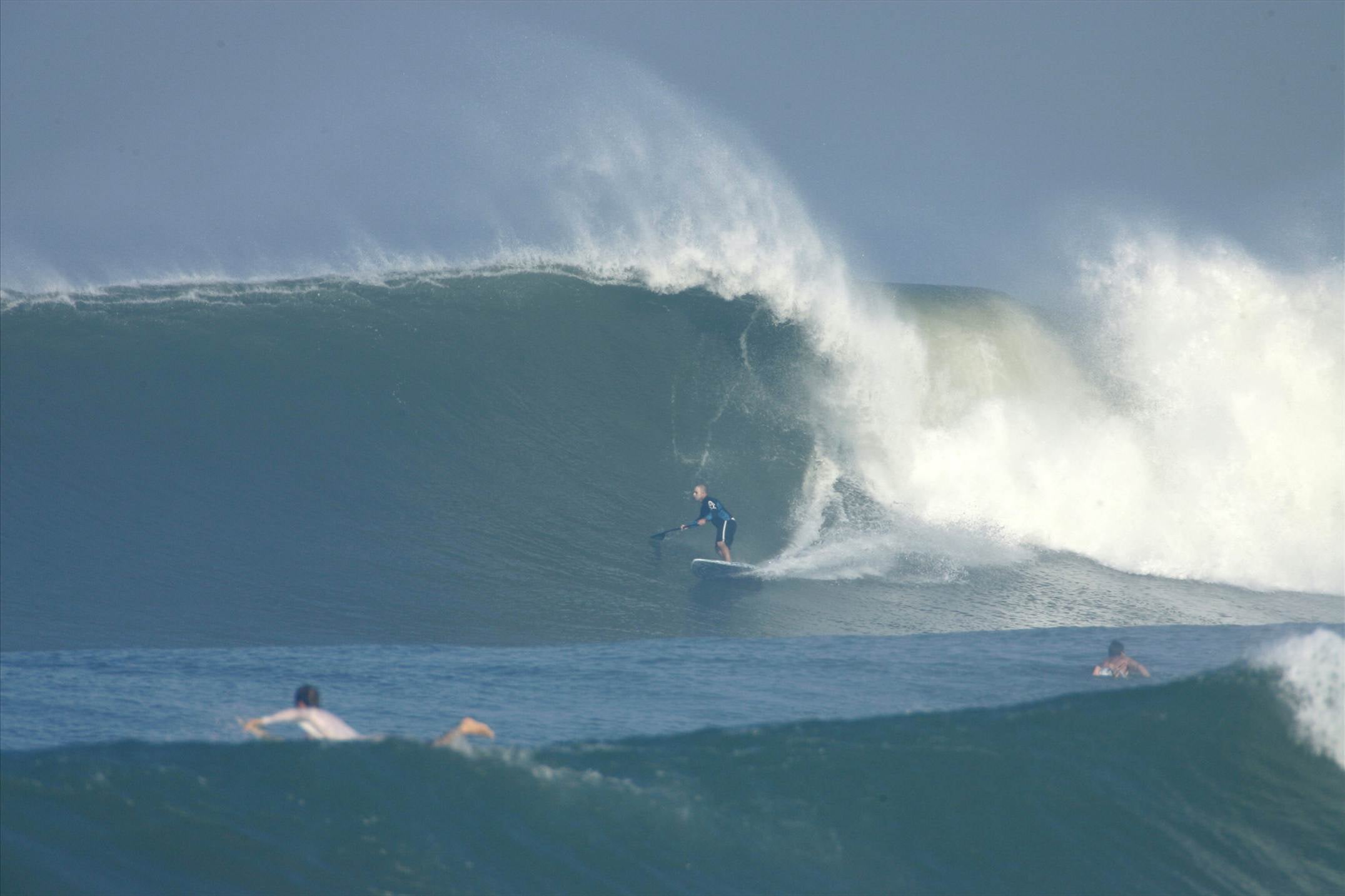 brushed carbon 9'1 x 29