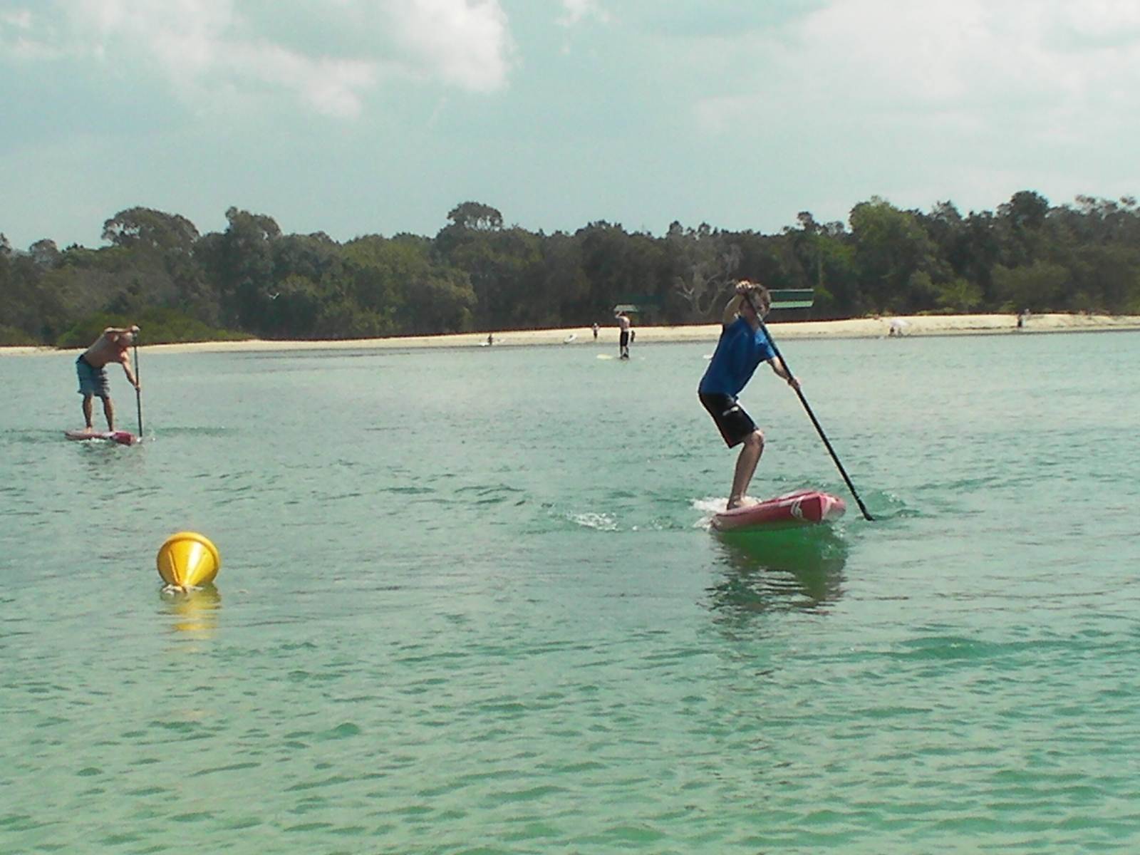 Gubbi Gubbi 077