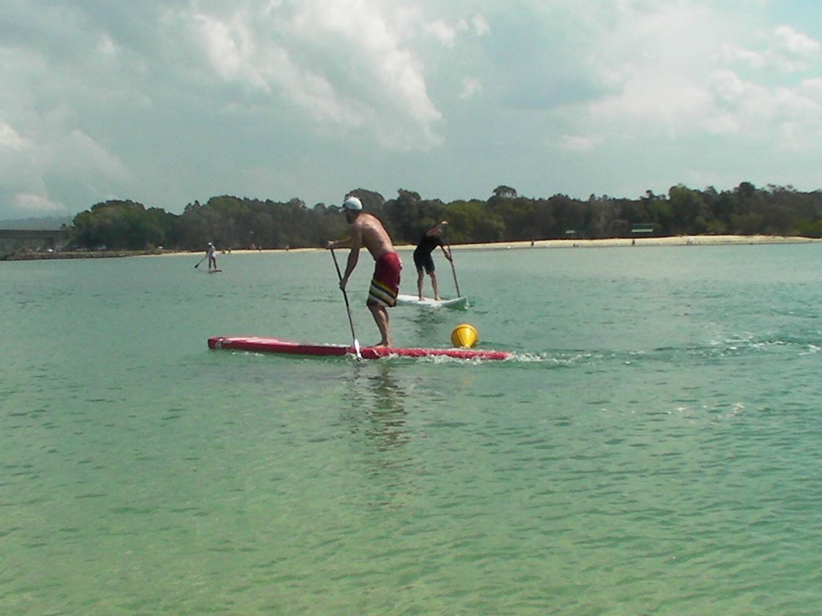 Gubbi Gubbi 082