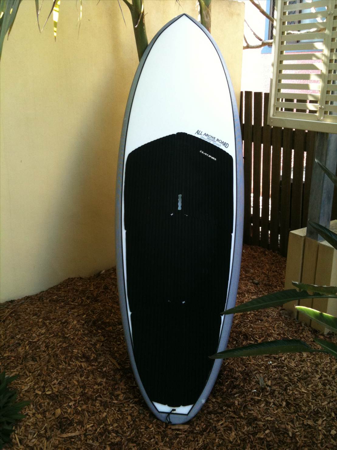 Noel's board porn