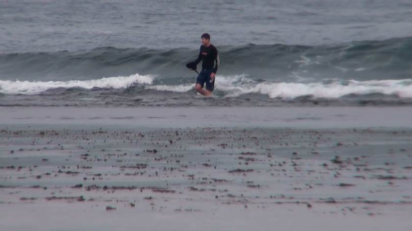 Snapped Leggy Reef Run