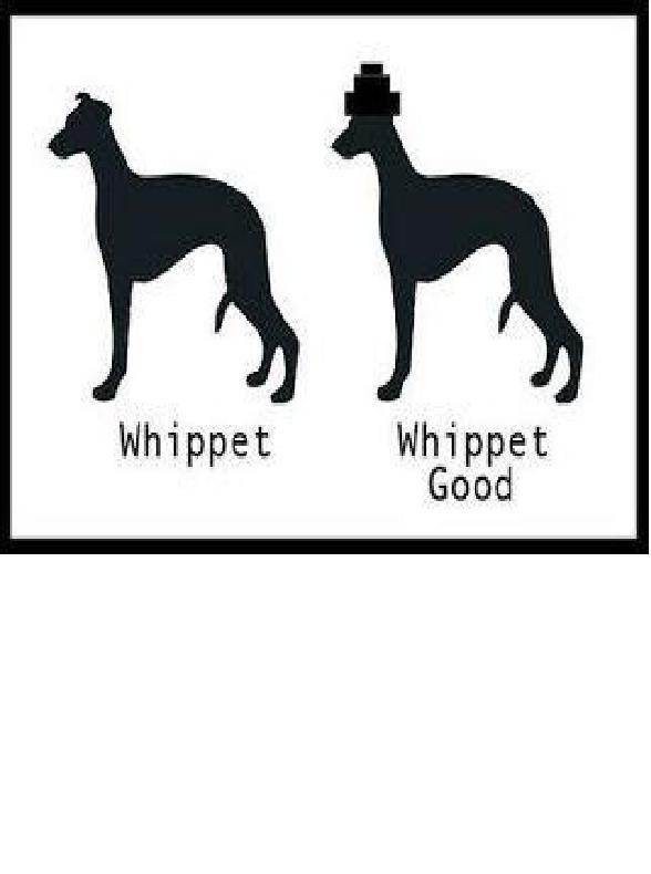 Whip It