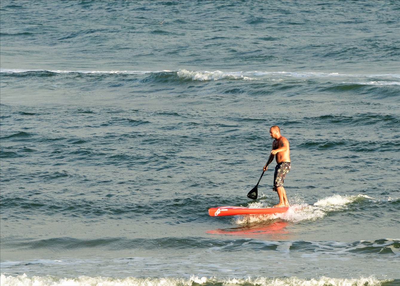 Currumbin 4