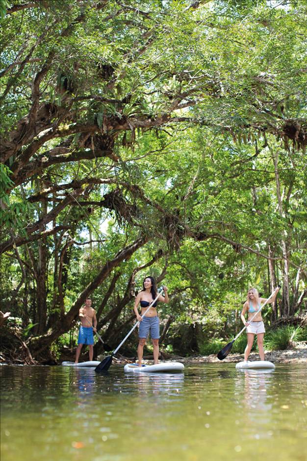 REEF FOUR MILE BEACH AND REEF PADDLE SESSIONS-SUMMER FLAT WATER