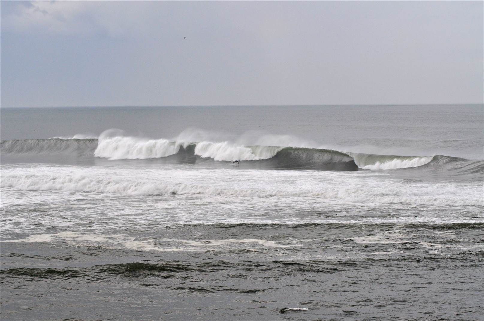 Bail3