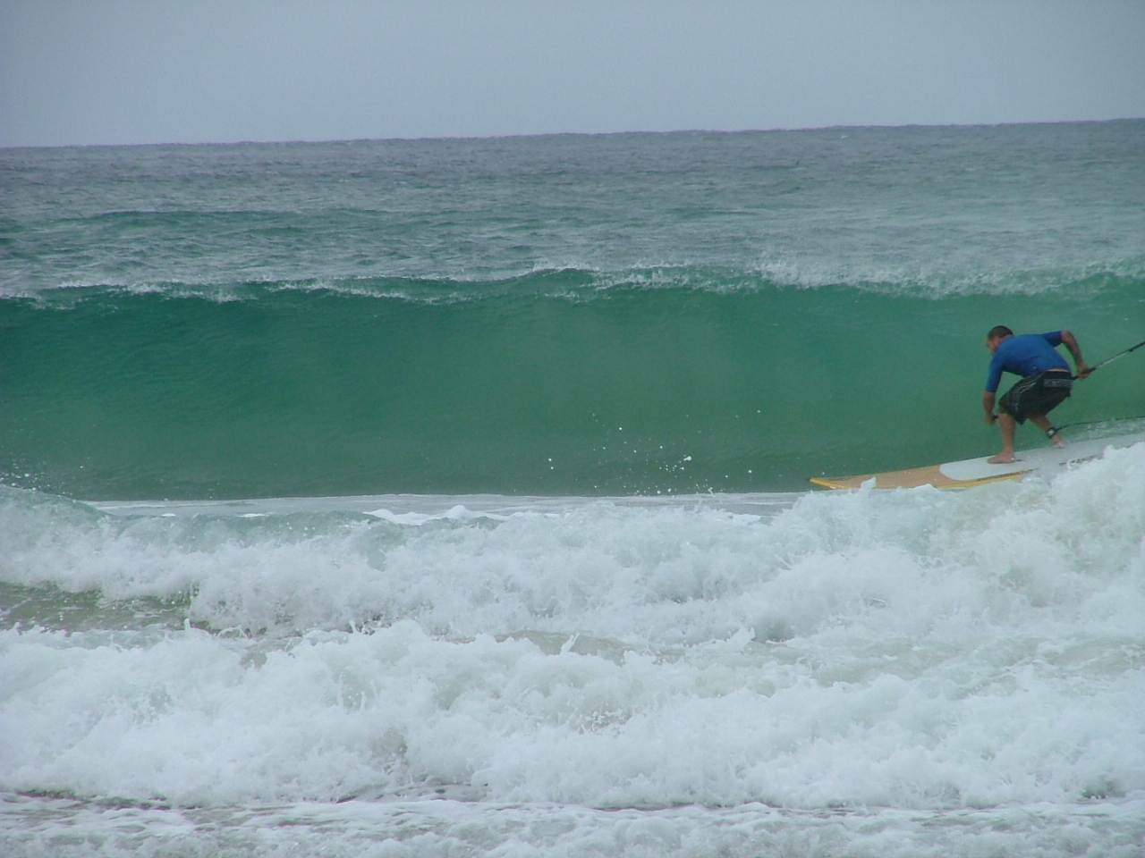 supsa 289
