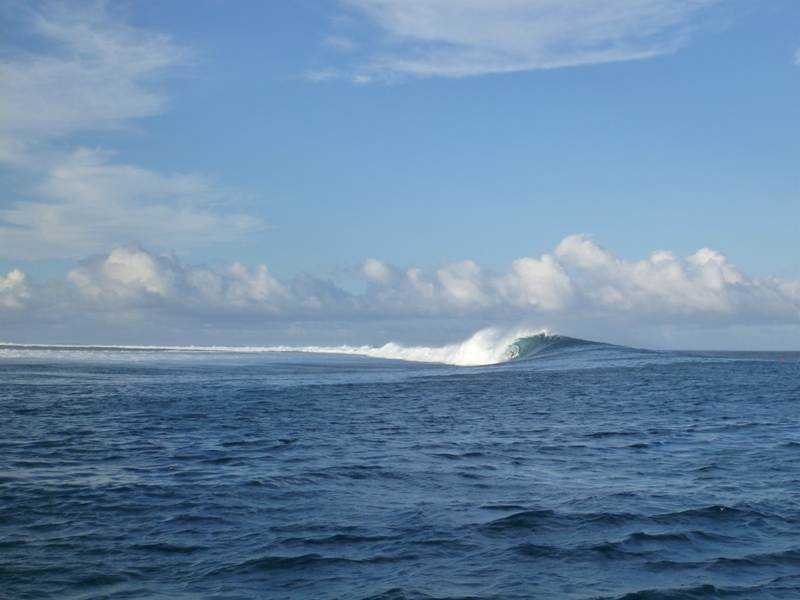 P1010350