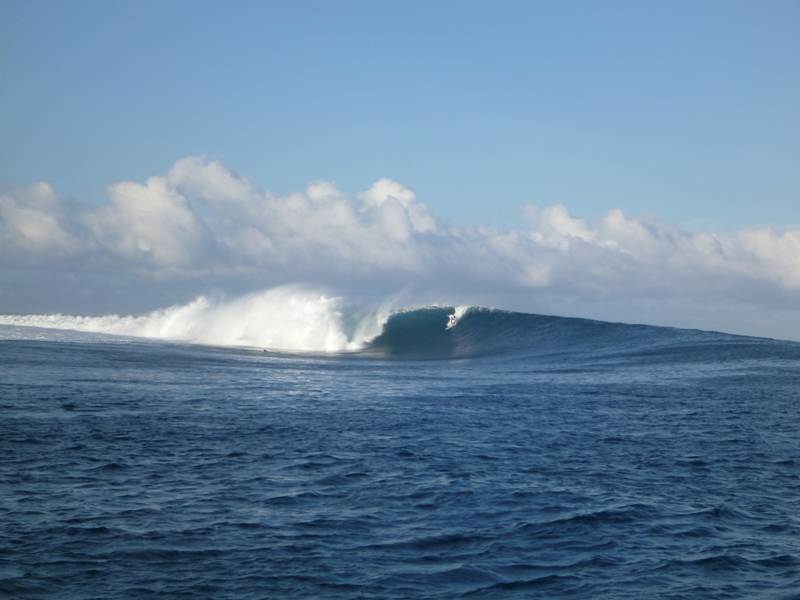 P1010351