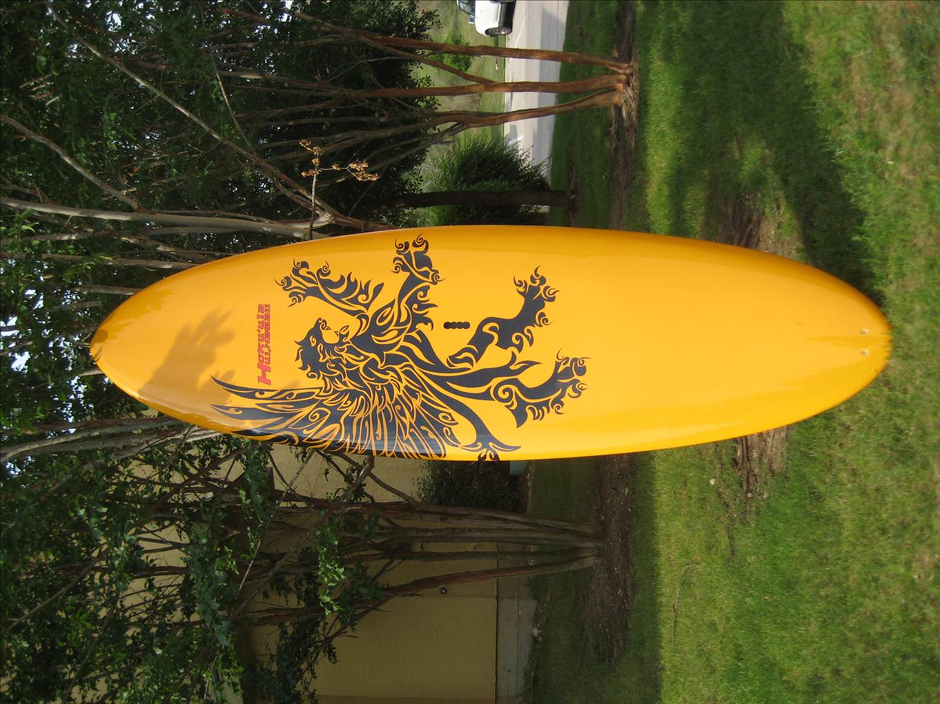 right board for my needs?