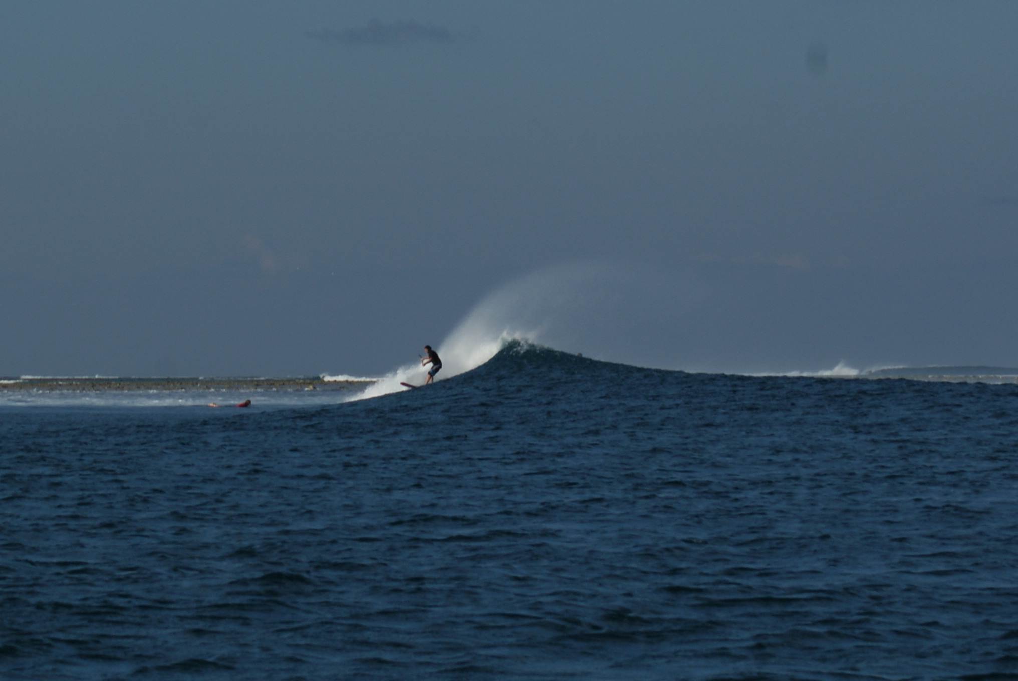 DSC03453
