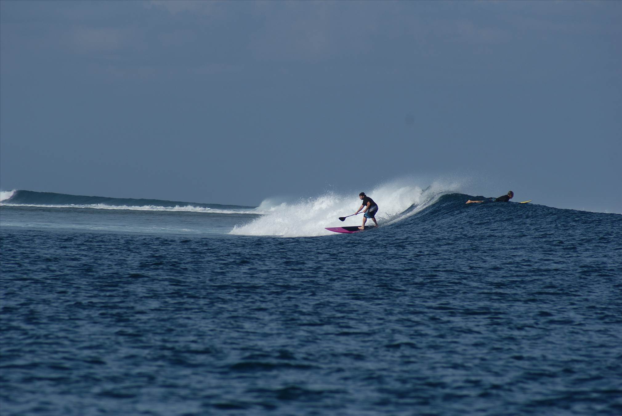 DSC03493