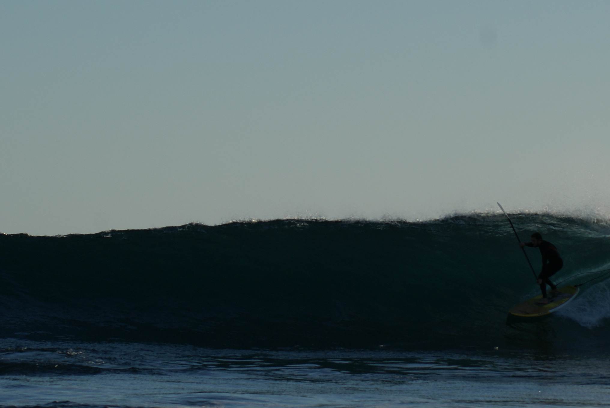 Ernie MGR shreeder  riding 8 footer