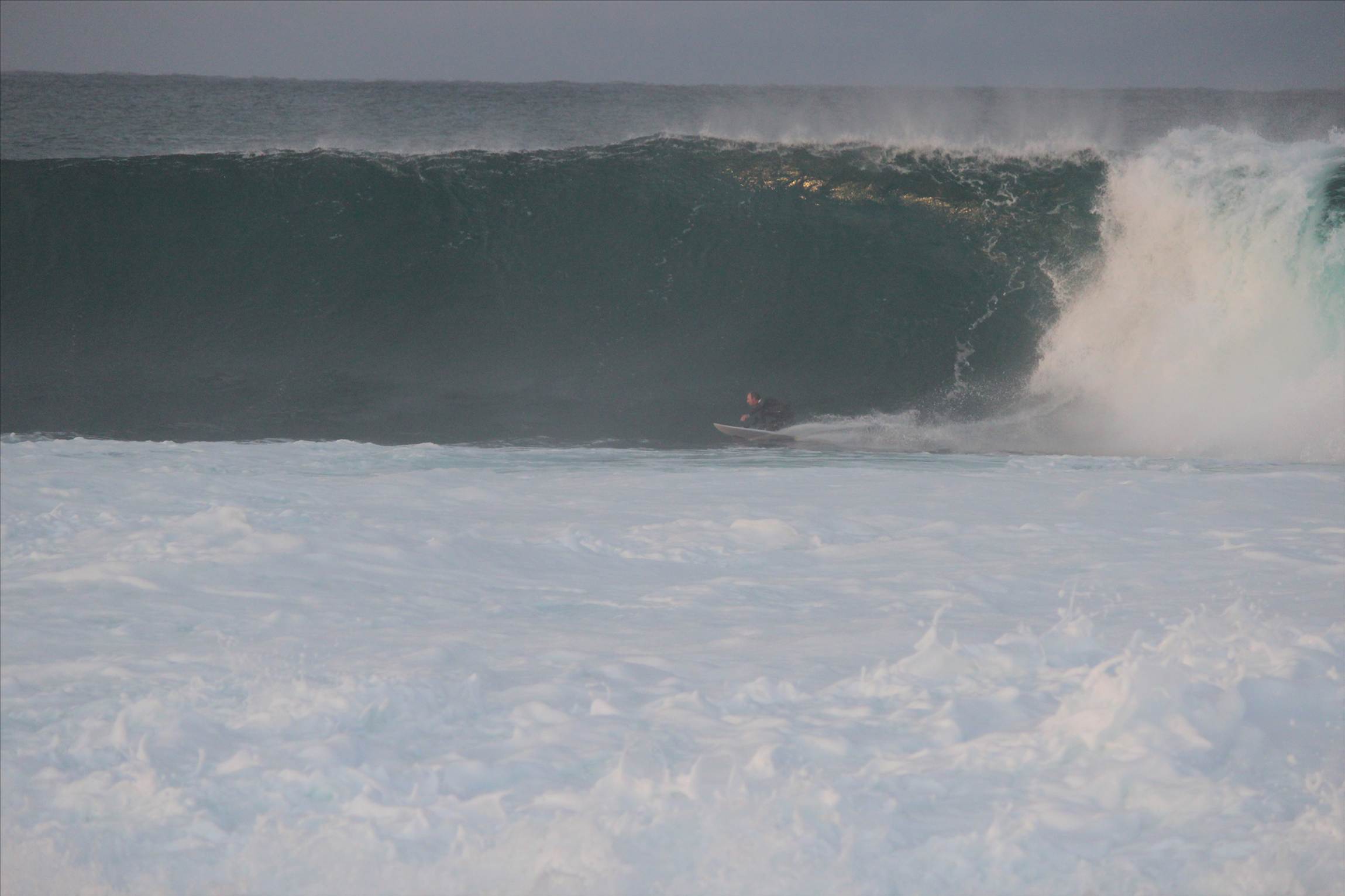 family and surf 260