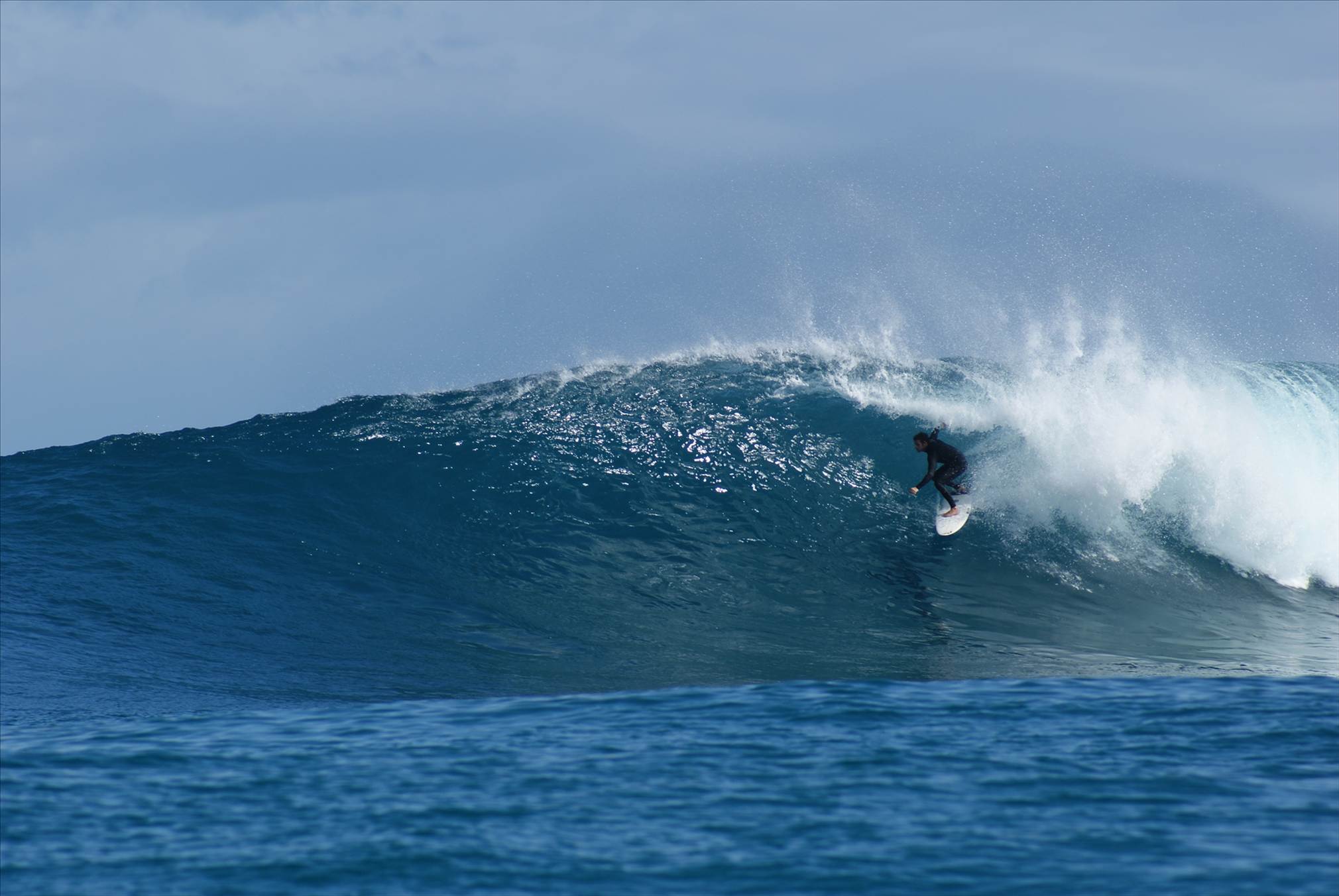 LAZA and LANGA Sup it  young guns towed in