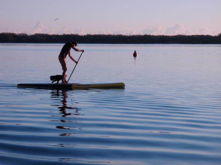 Sup session