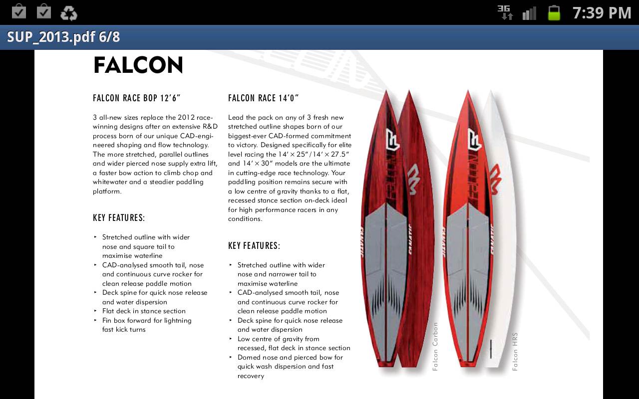 Fanatic Falcon