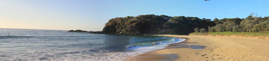 corona 16