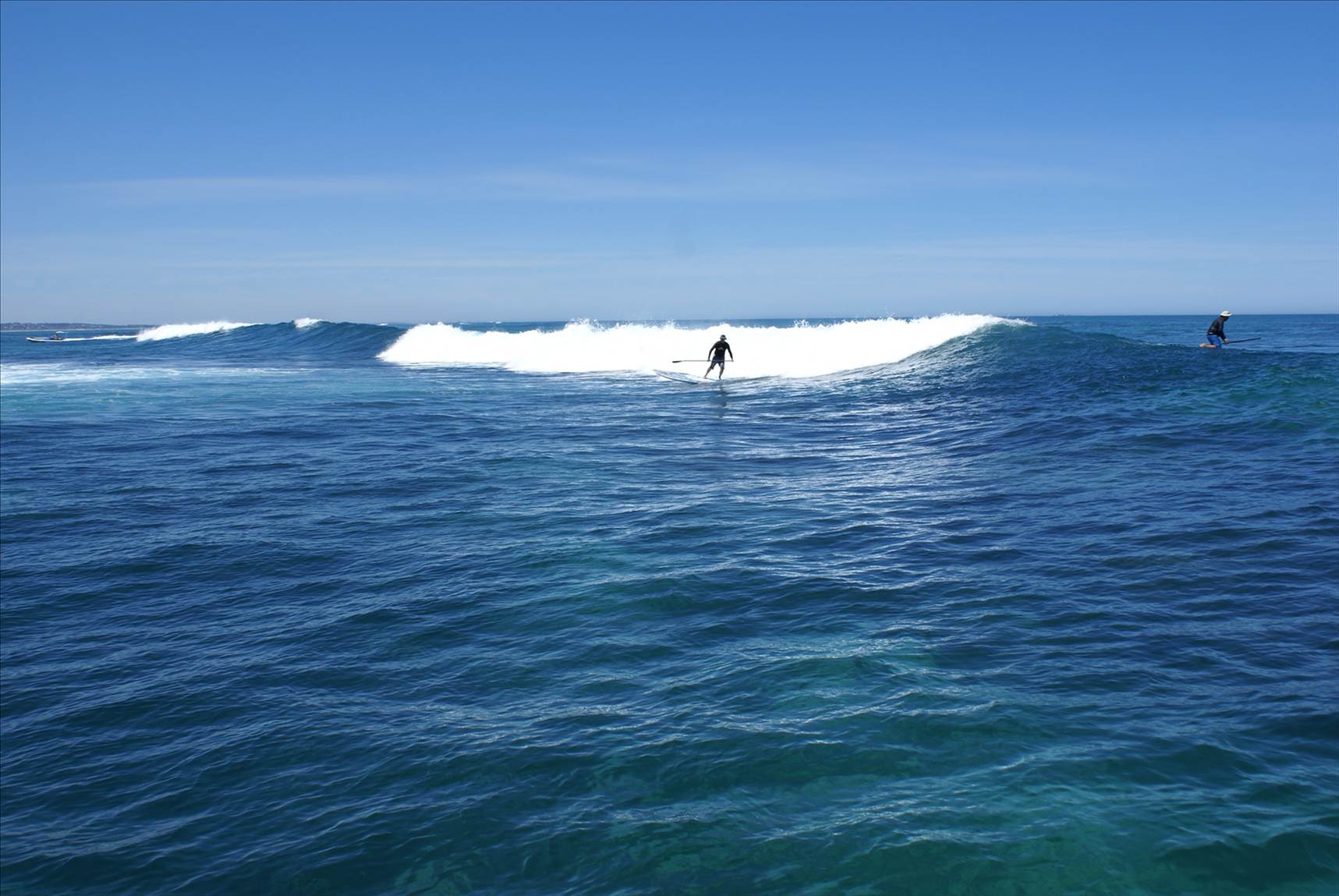 Seal island