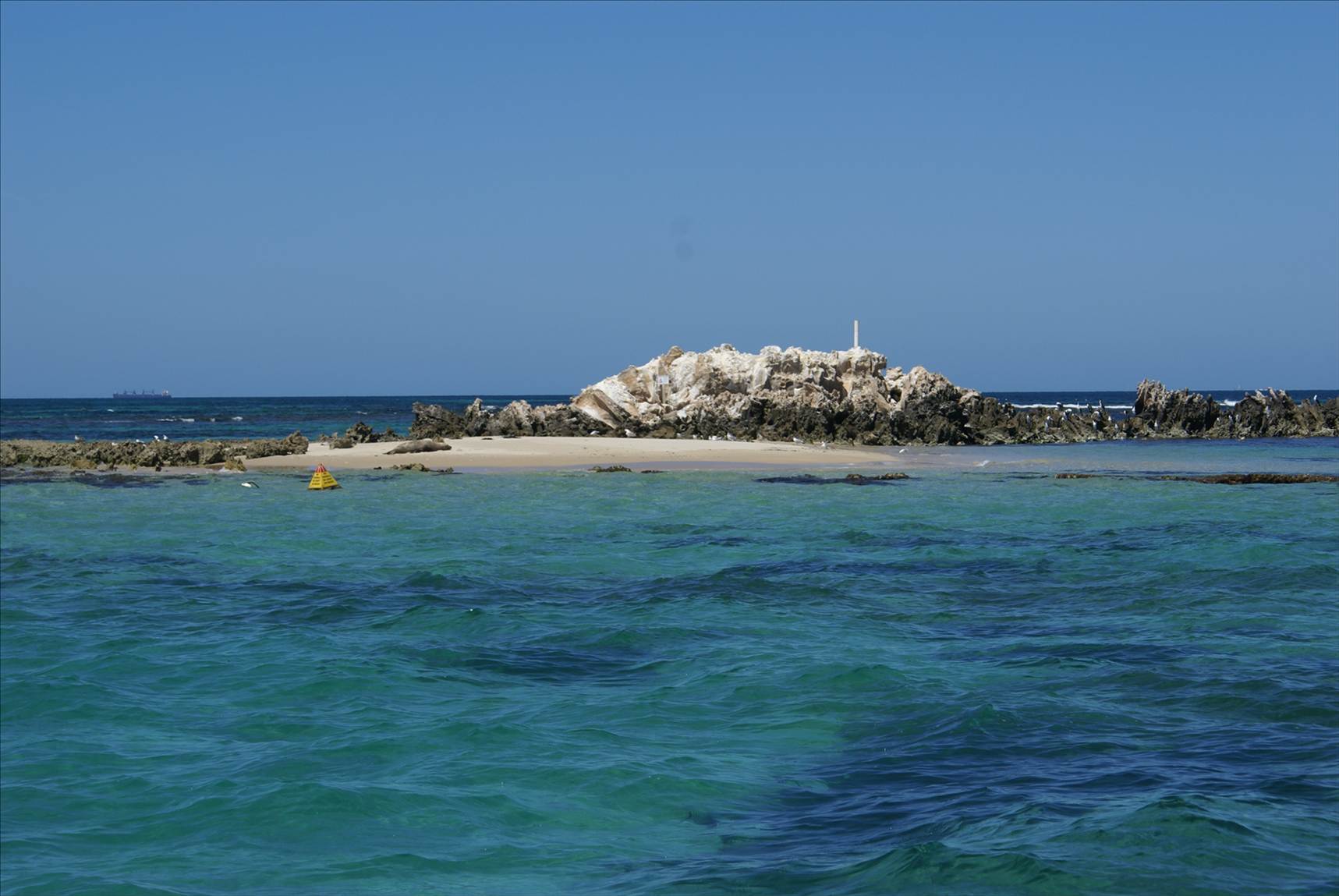 Seal island