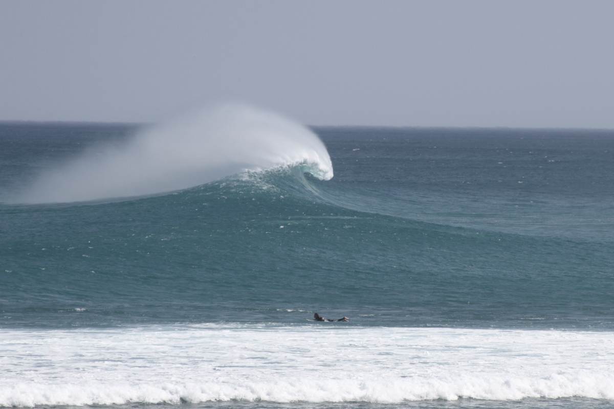 Heaving 6 TO 8 FOOT Langa