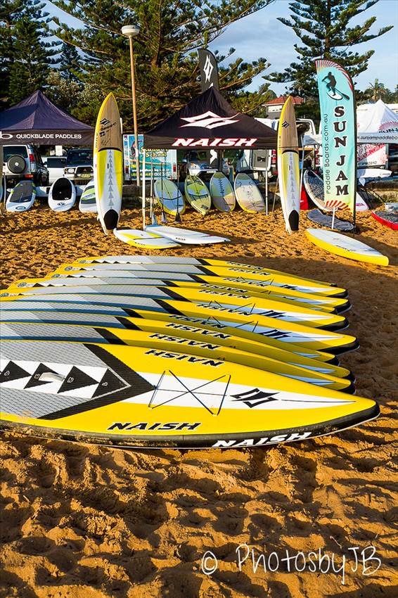 Paddle to Battle MS