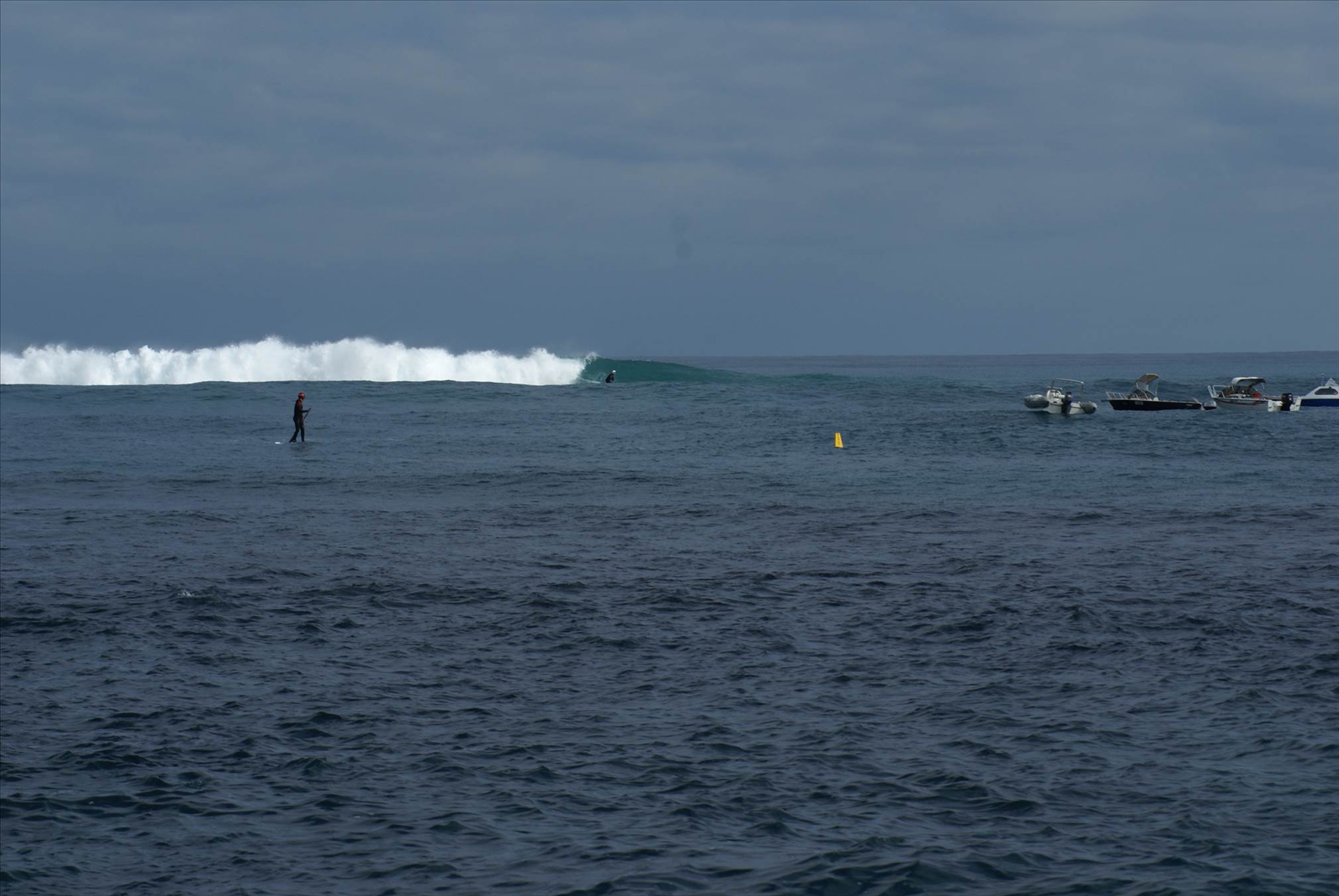 little island in june