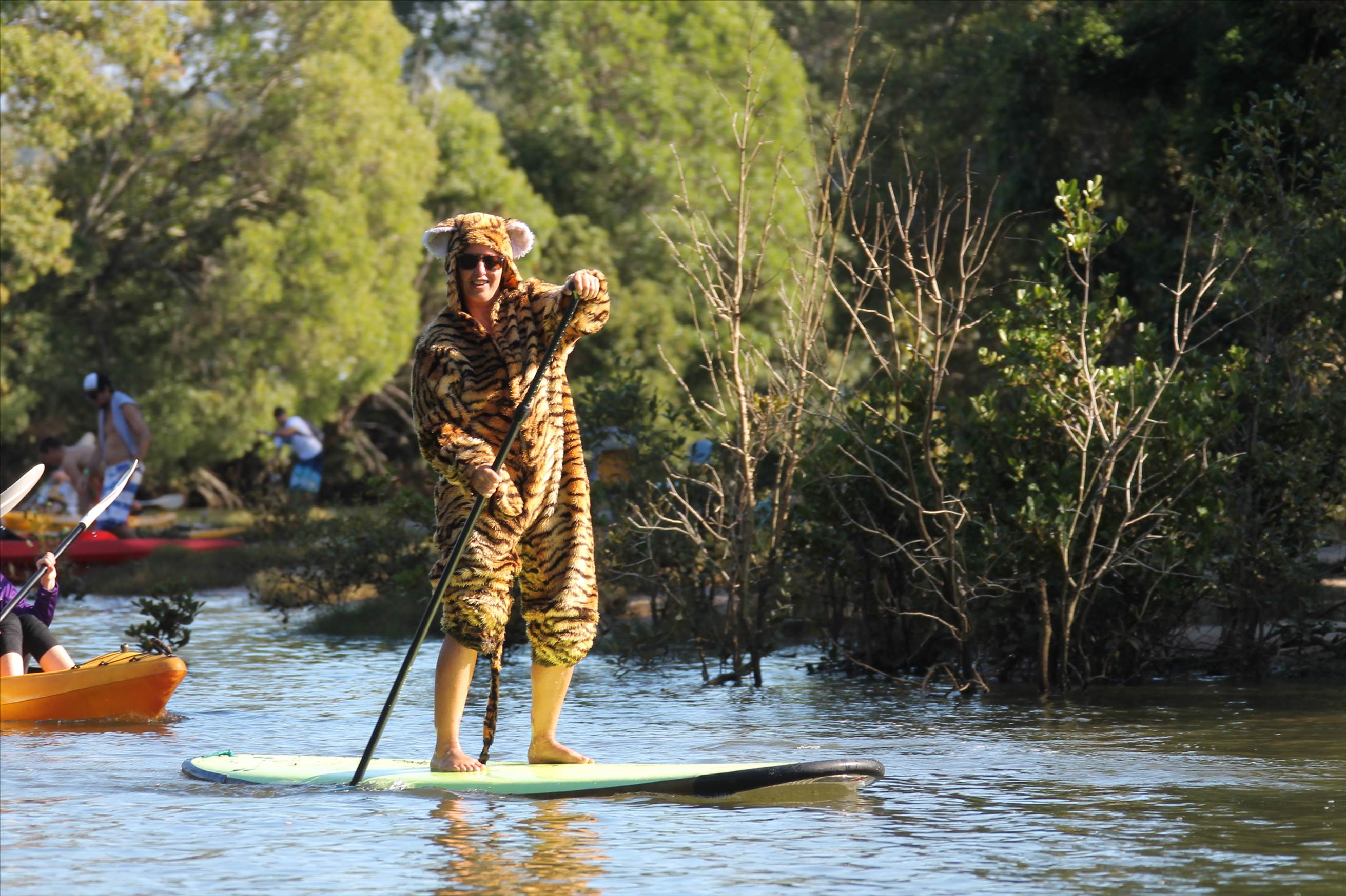 the life of pi...mullumbrunz paddle [ 400SUP,s ]