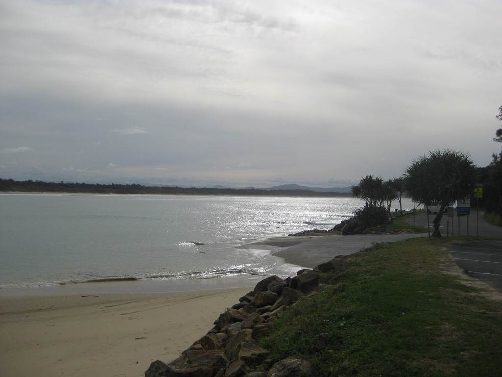 scotts head