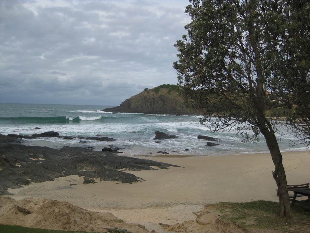 scotts head