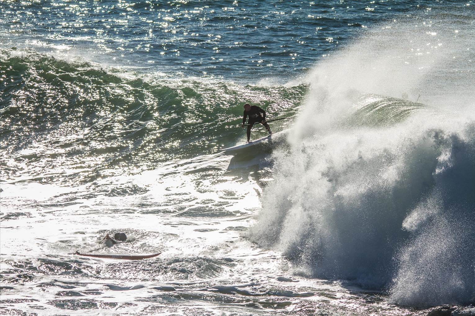 Scotts comp-107