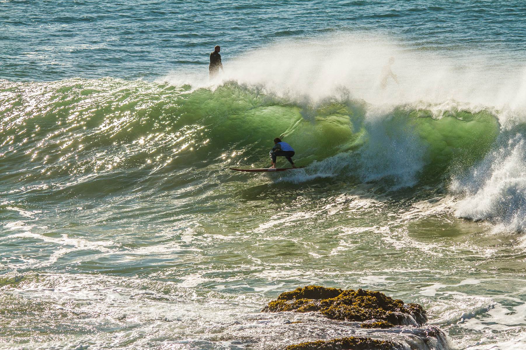 Scotts comp-170