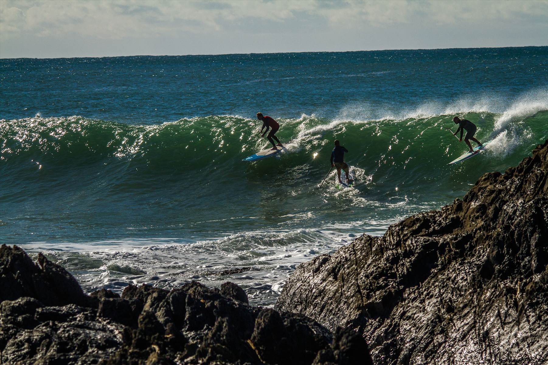 Scotts comp-194