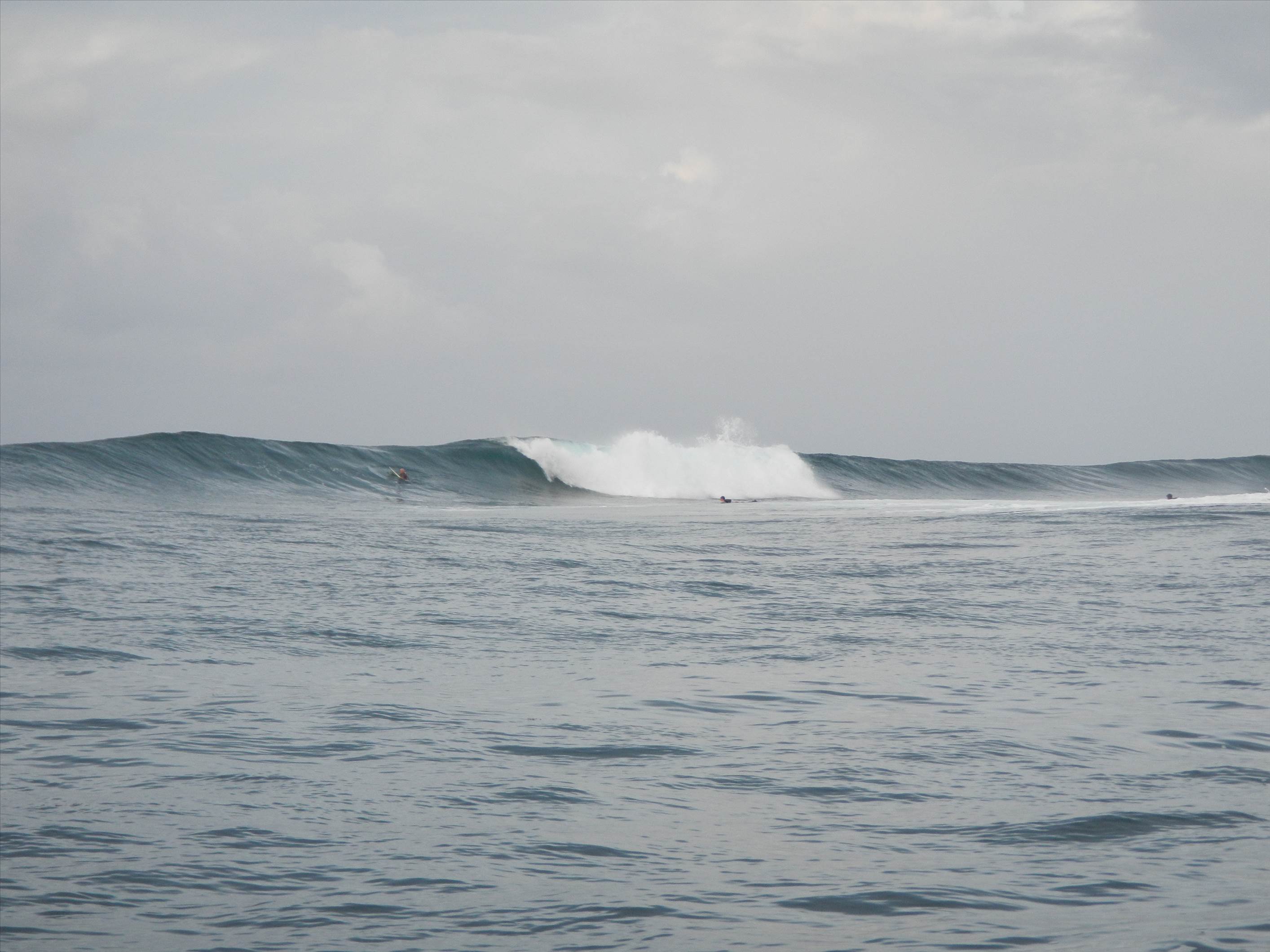Salani Right from the boat