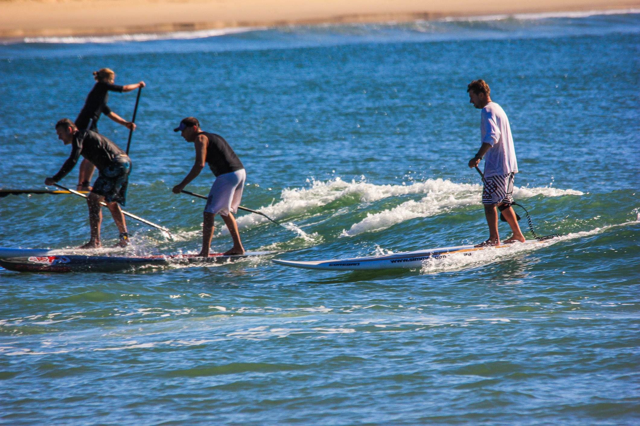 BOP paddle-242