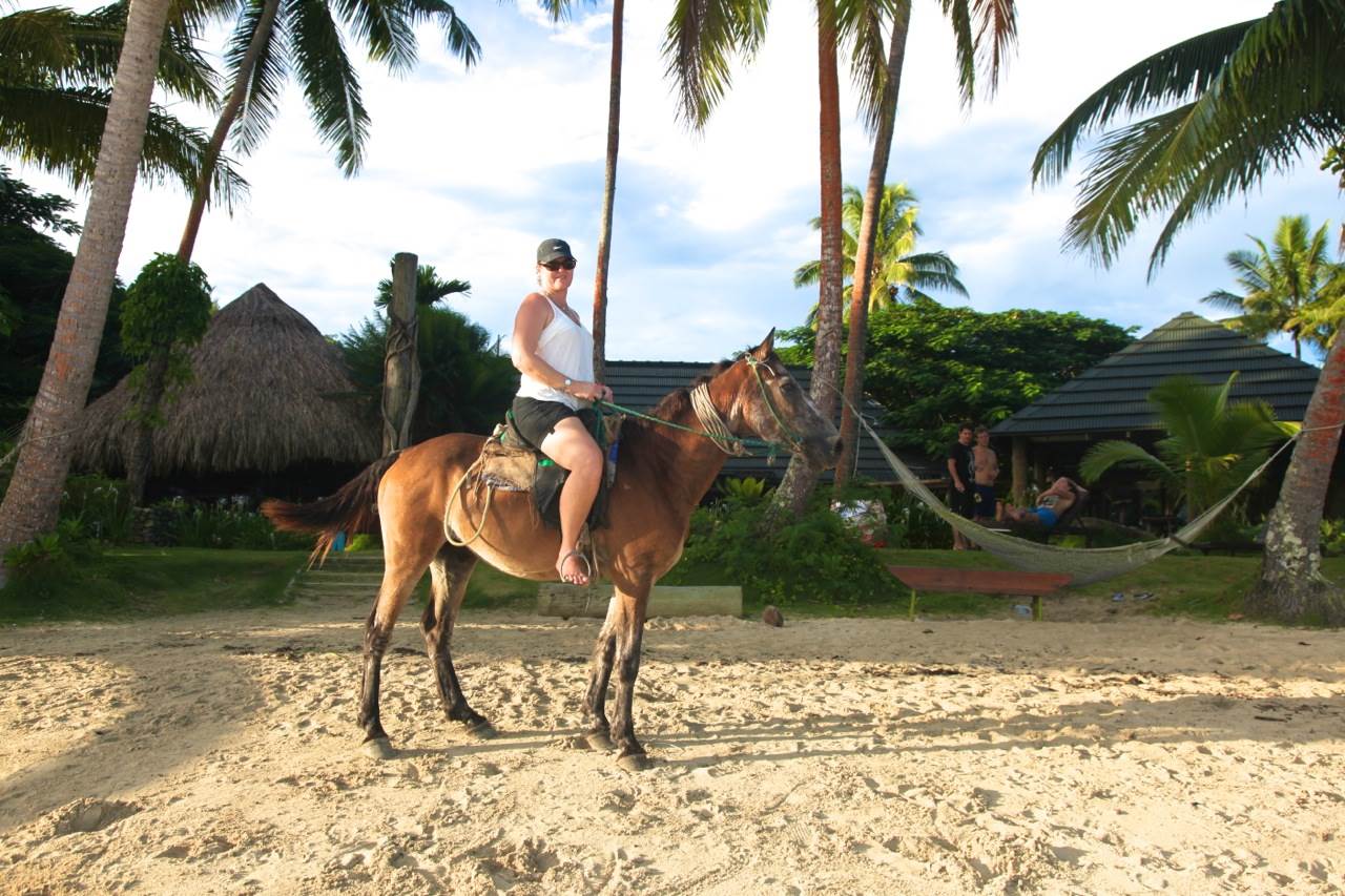 horse