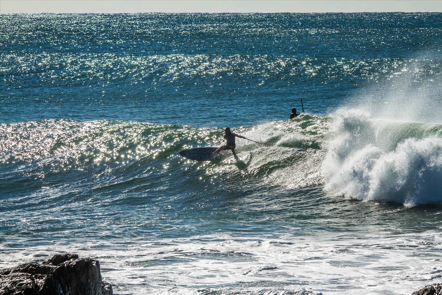 Scotts comp-202