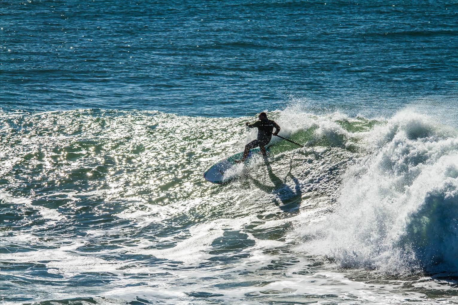 Scotts comp-206