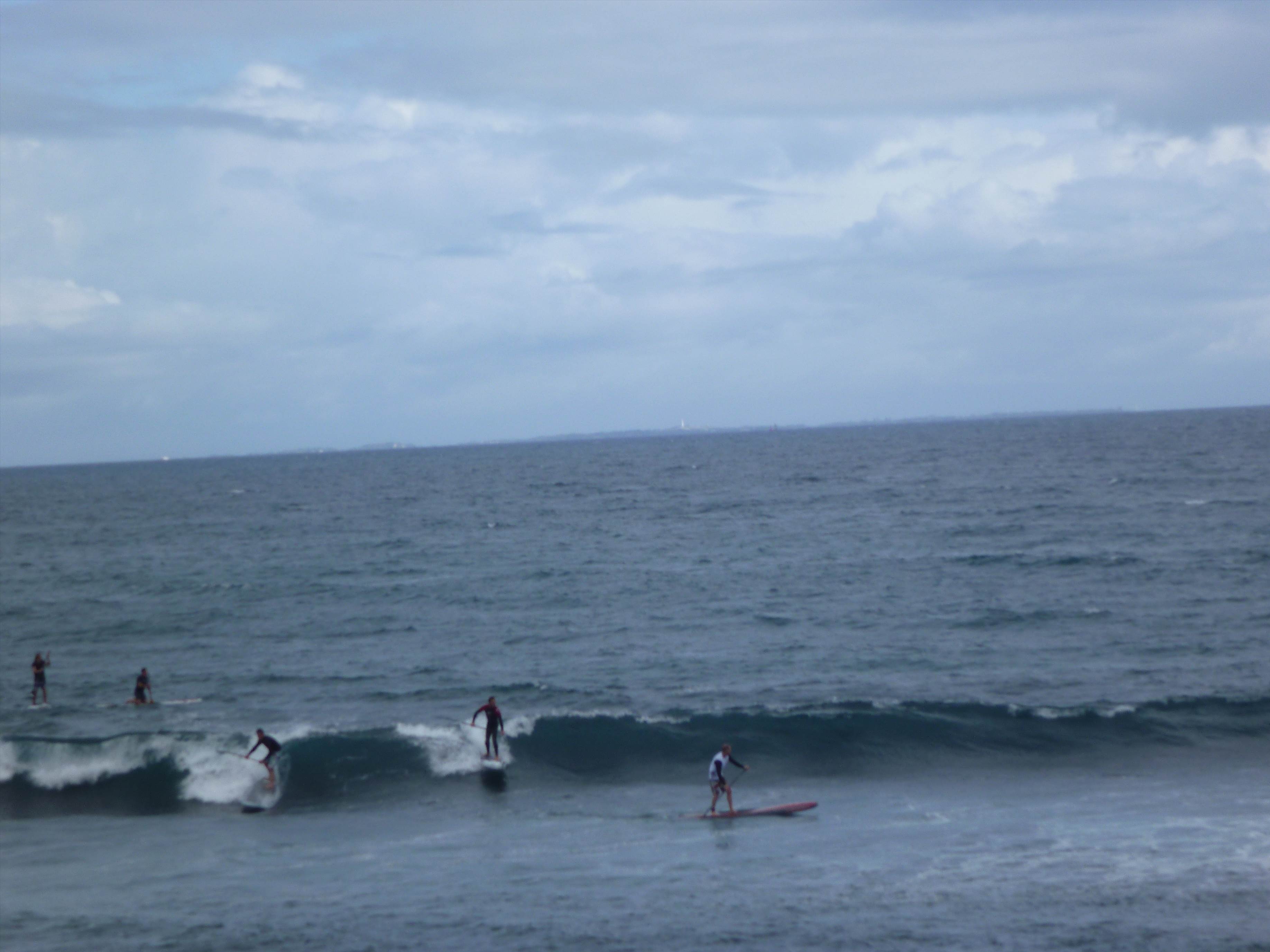 Whalebone Classic BOP race