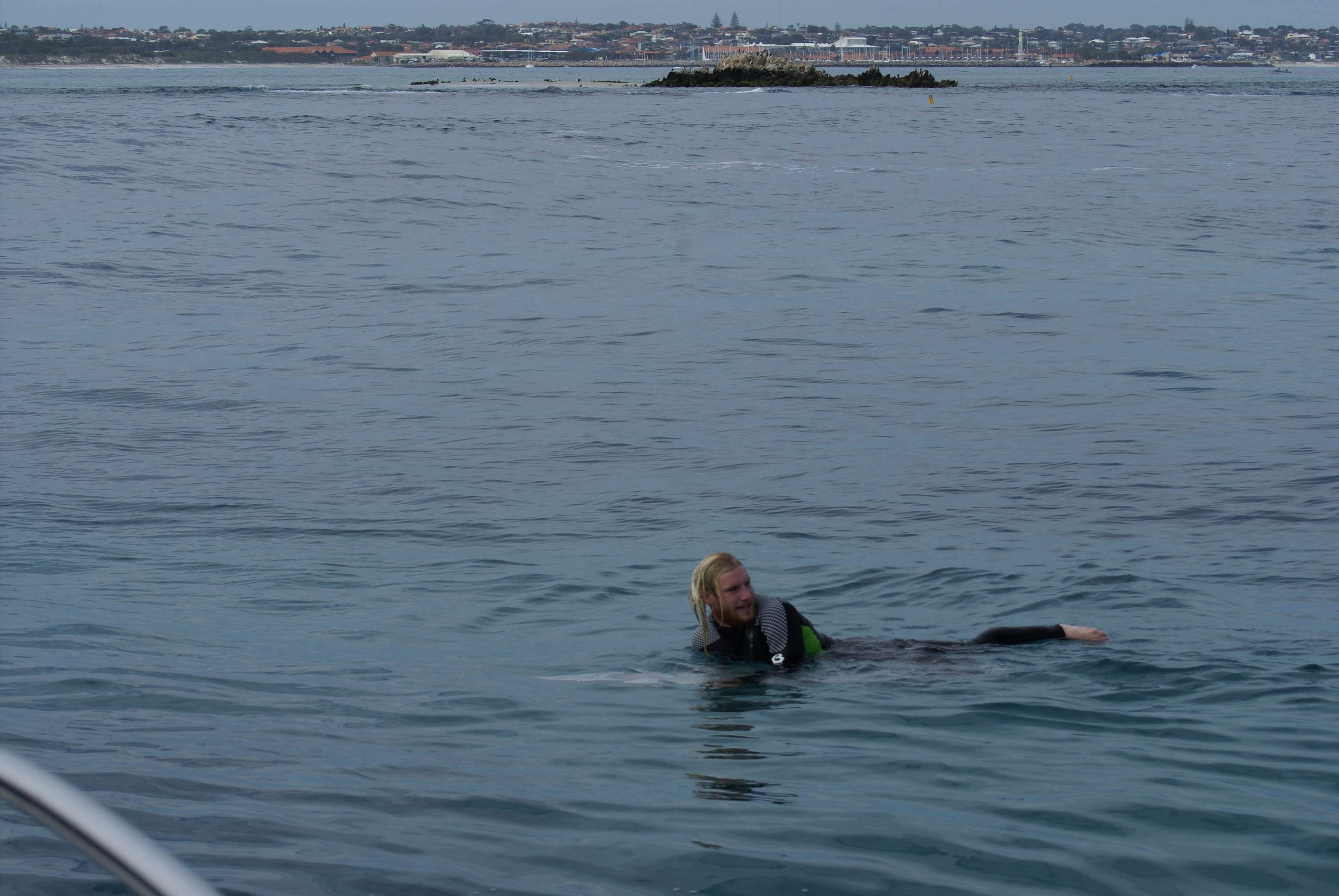 seal island
