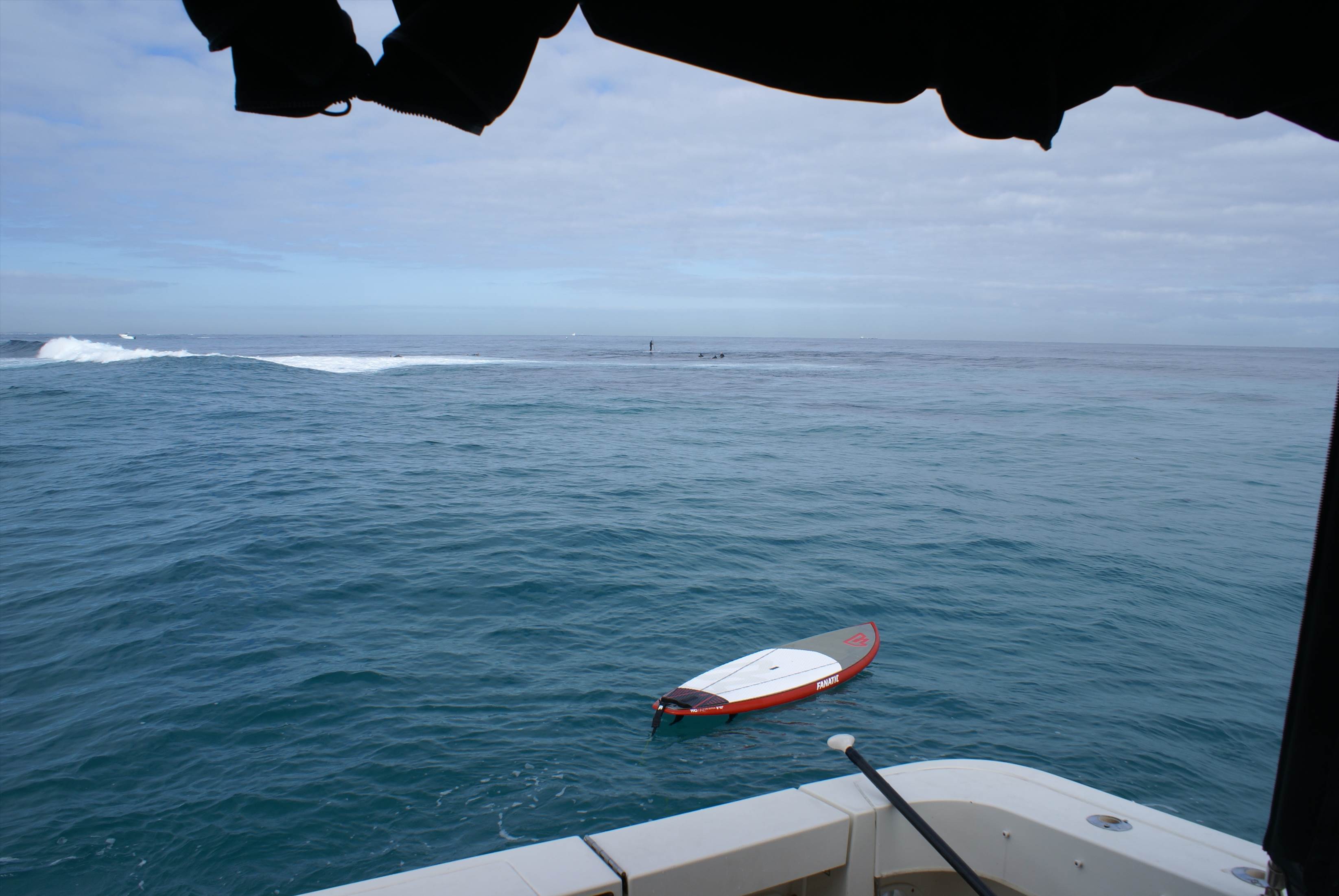seal island